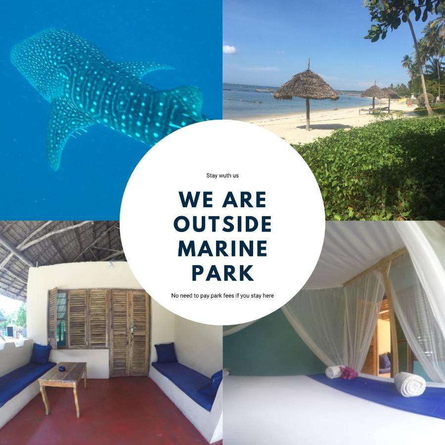 Afro Whale Shark Safari Kilindoni Exterior foto