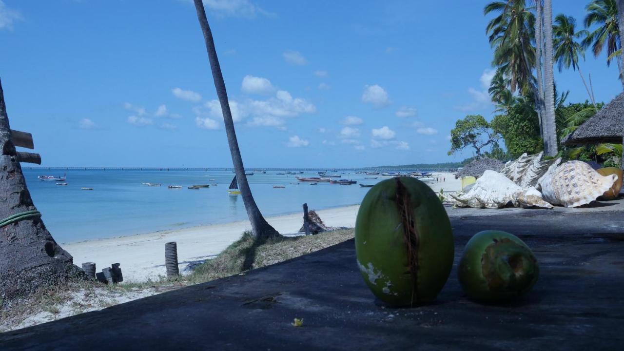 Afro Whale Shark Safari Kilindoni Exterior foto
