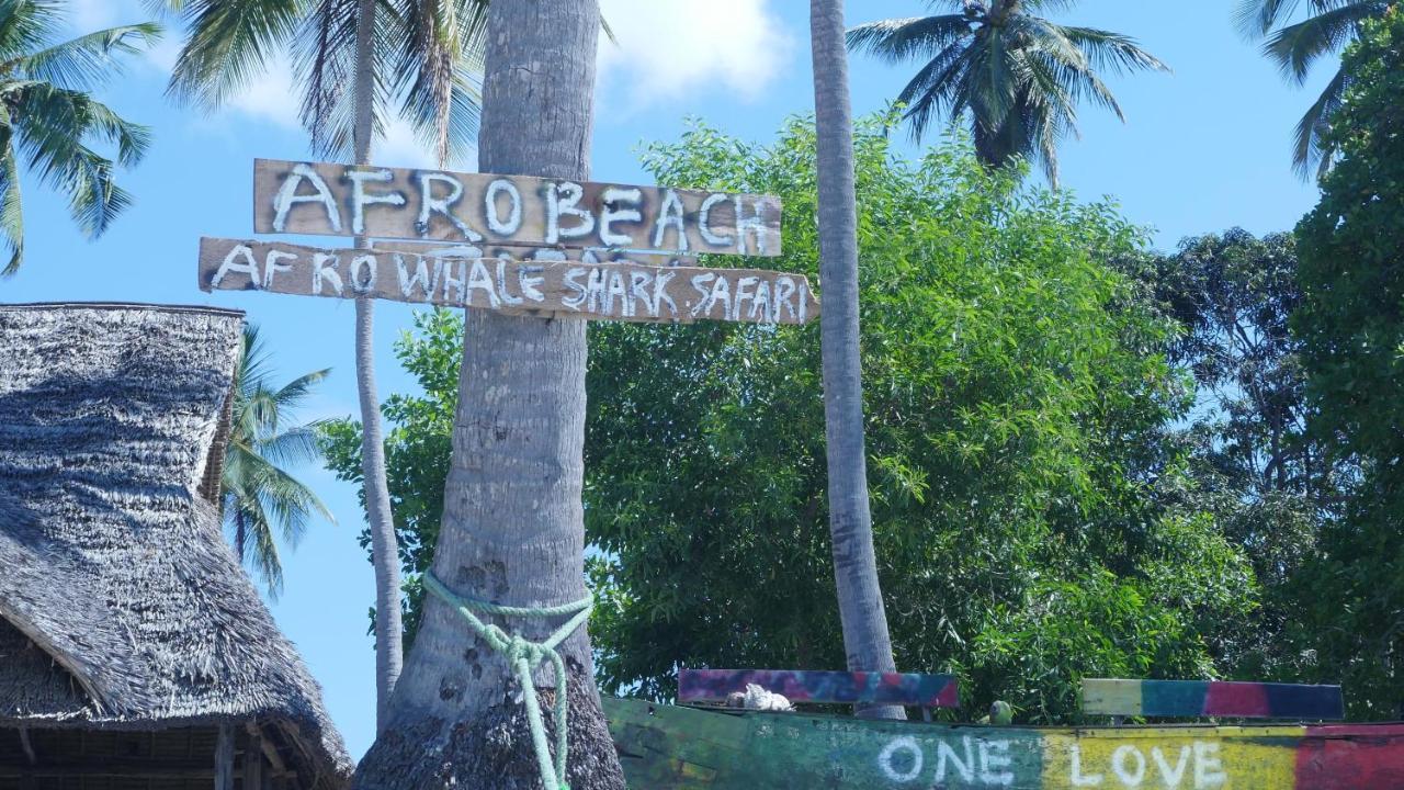 Afro Whale Shark Safari Kilindoni Exterior foto