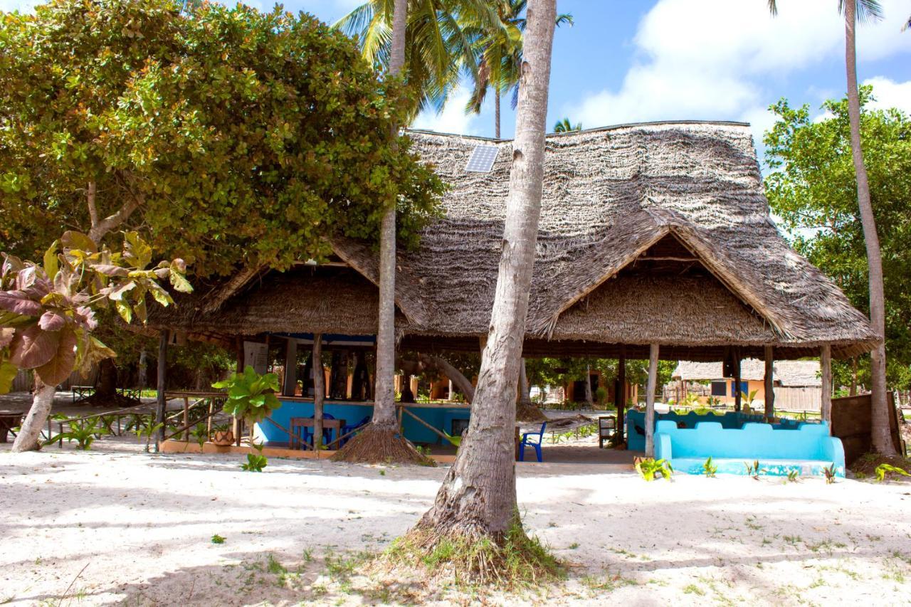 Afro Whale Shark Safari Kilindoni Exterior foto